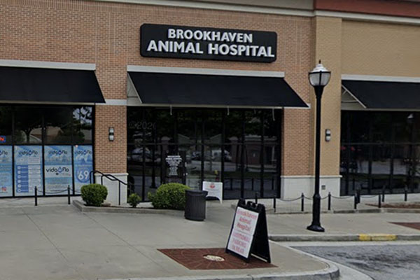 Family Pet Hospital in Sandy Springs, GA - Brookhaven Animal Hospital